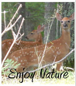 Enjoy Nature