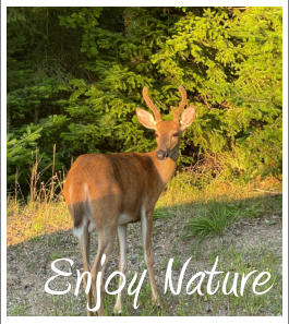 Enjoy Nature